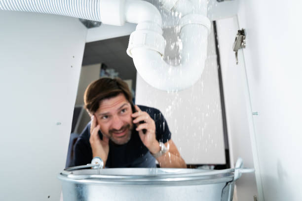 Best Plumbing Inspection Services  in Apison, TN